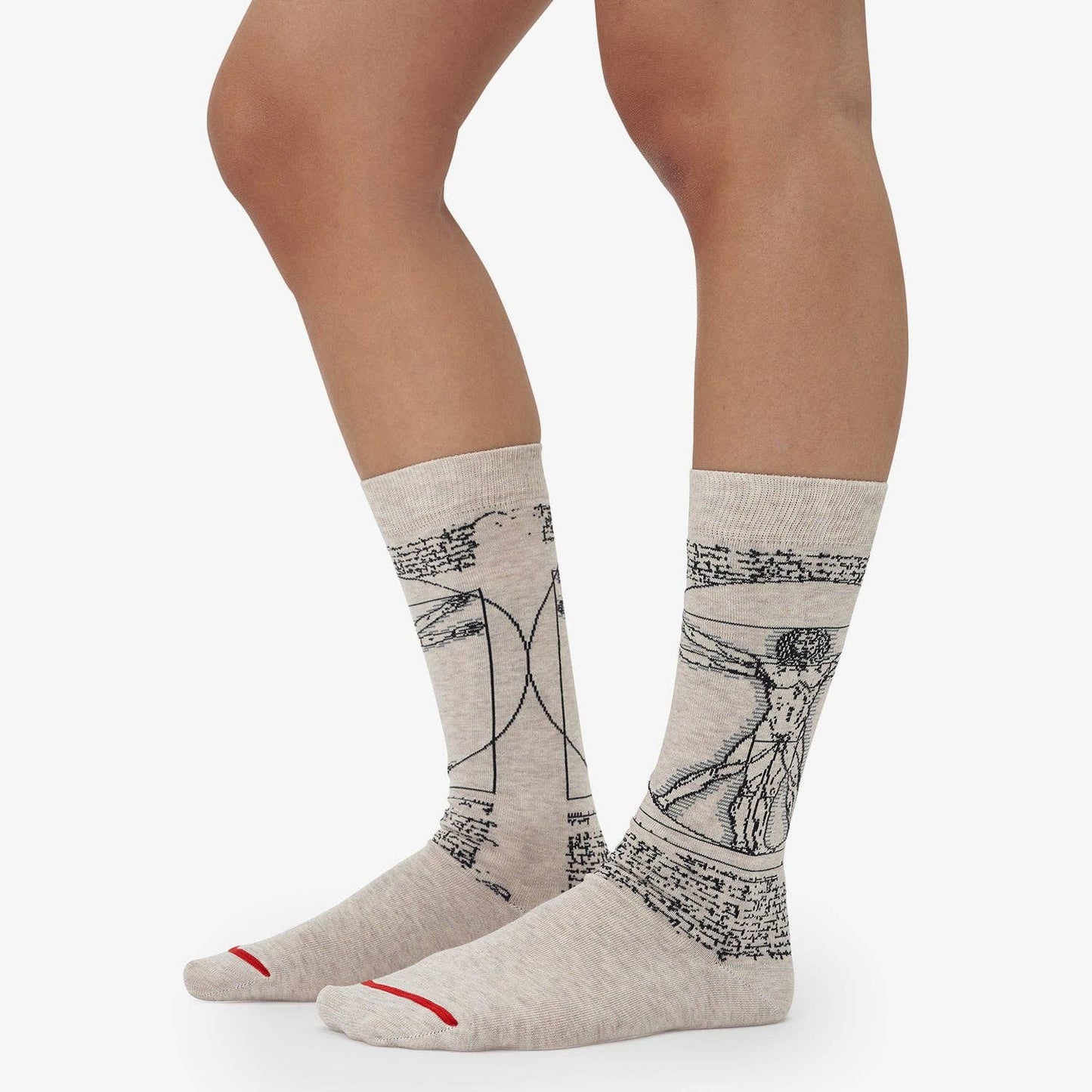 Leonardo da Vinci Vitruvian Man Cotton Crew Socks