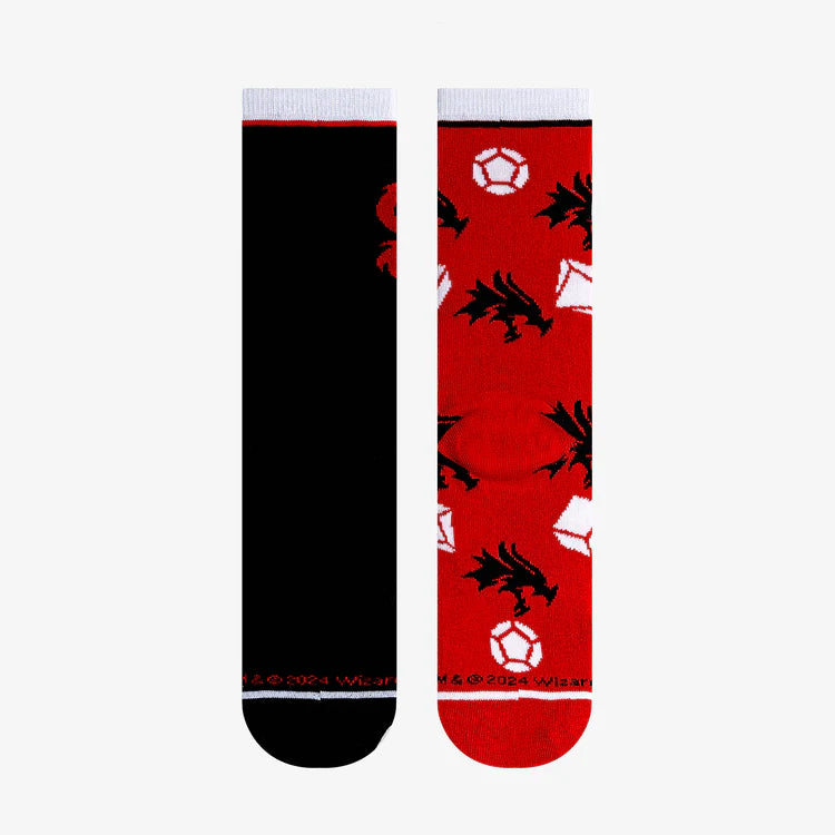 DUNGEONS & DRAGONS SPLIT BIG KIDS CREW SOCKS