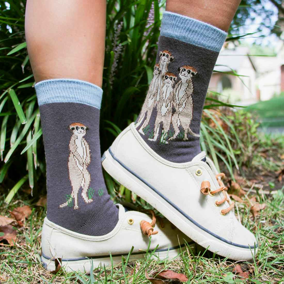 MEERKATS WOMEN'S CREW