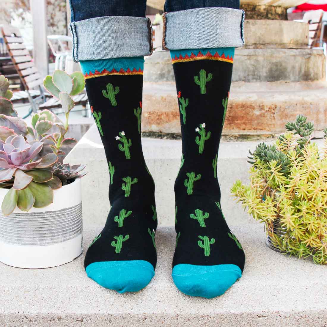 CACTUS MEN'S CREW
