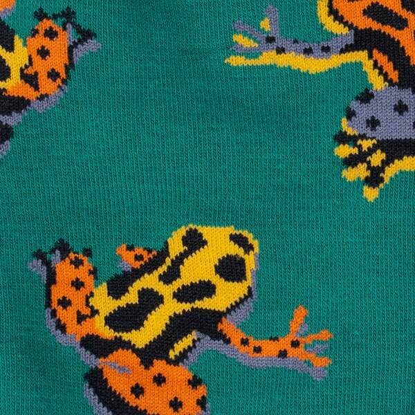 POSION DART FROG MEN'S CREW