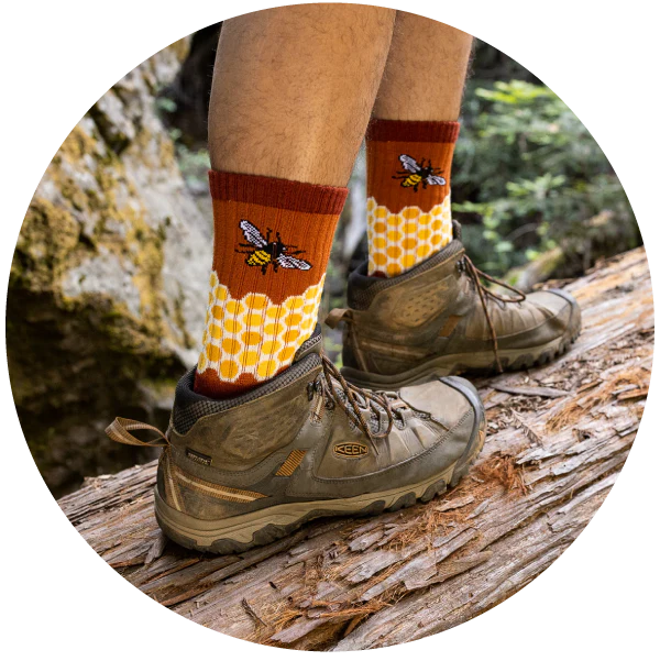 HOME SWEET HONEYCOMB MEN'S MERINO CREW SOCKS