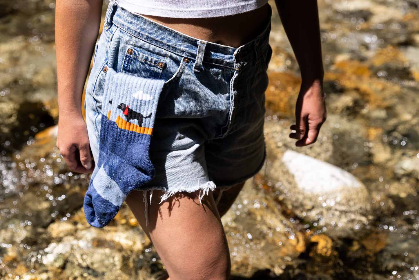 BOAT DOG MEN'S MERINO WOOL CREW SOCKS