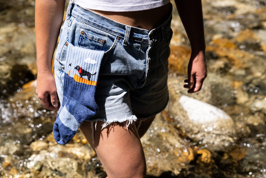 BOAT DOG MEN'S MERINO WOOL CREW SOCKS