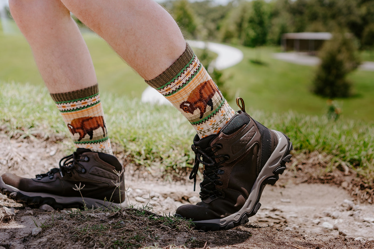 BUFFALO RANGE MERINO WOOL MEN'S CREW SOCKS
