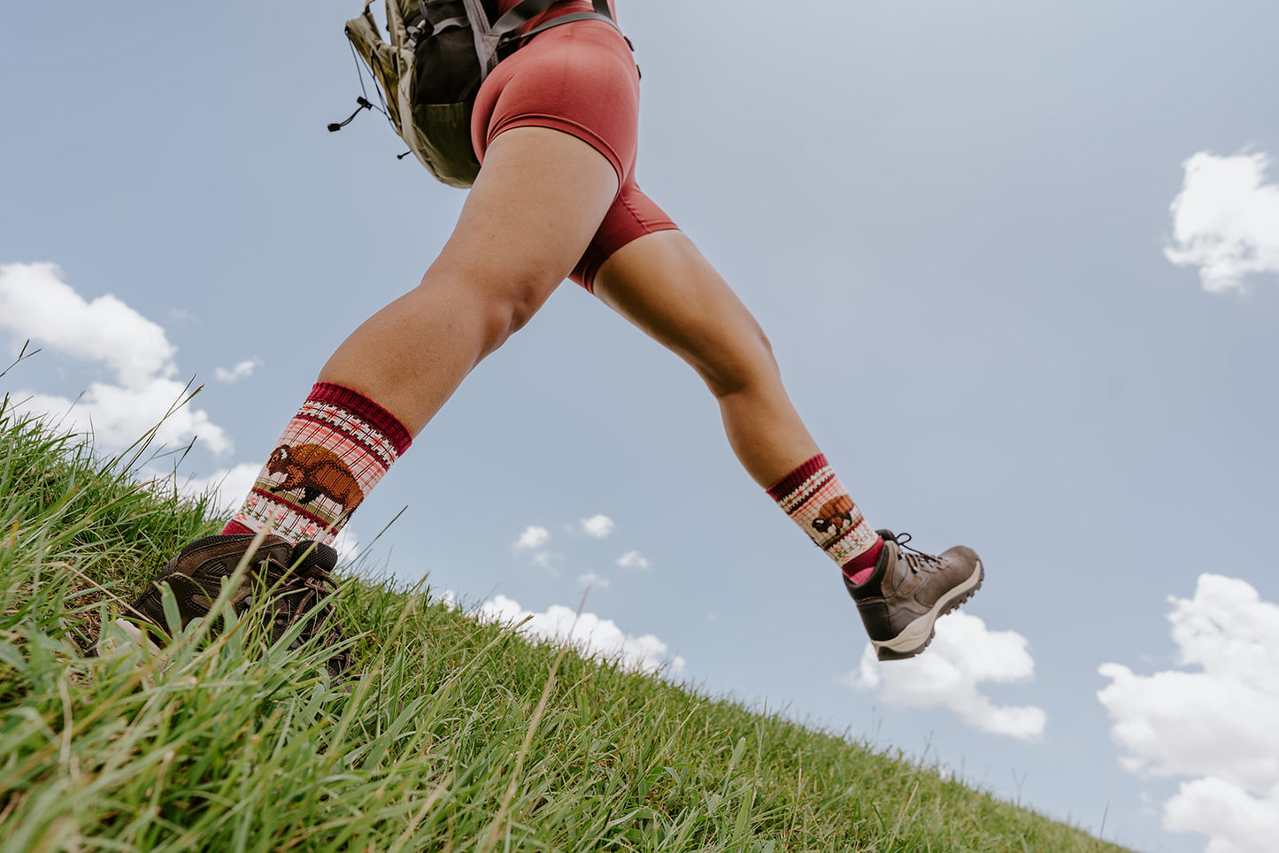 BUFFALO RANGE MERINO WOOL WOMEN'S CREW SOCKS