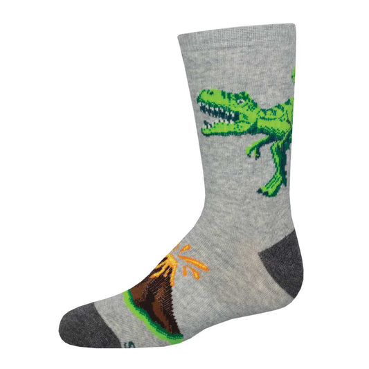 HEAR ME ROAR YOUTH'S ACTIVE CREW SOCKS