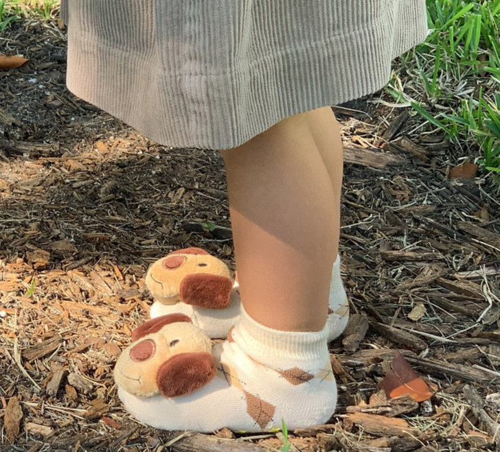 Brown Dog Boogie Toes Rattle Socks