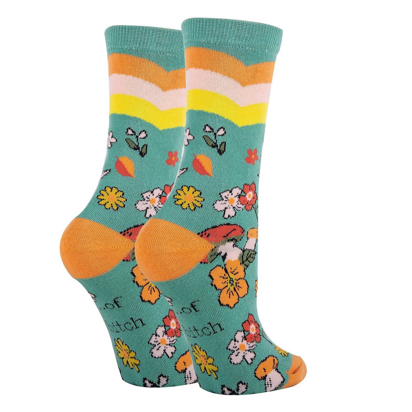 KINDS OF A WOMEN'S CREW SOCKS