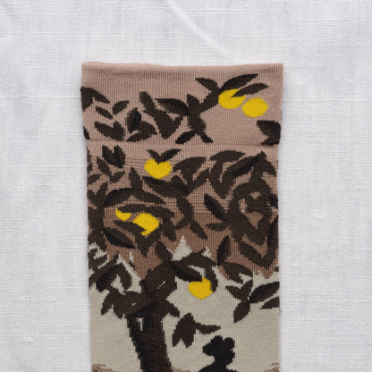 Multicolored Landscape Crew Socks