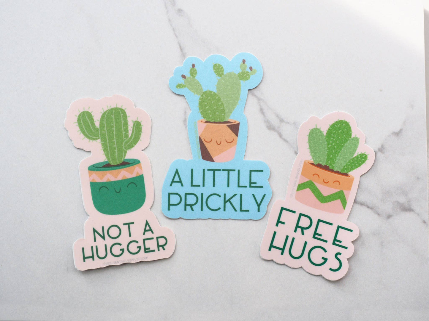 Not a Hugger Cute Cactus Sticker, Funny House Plant Decals