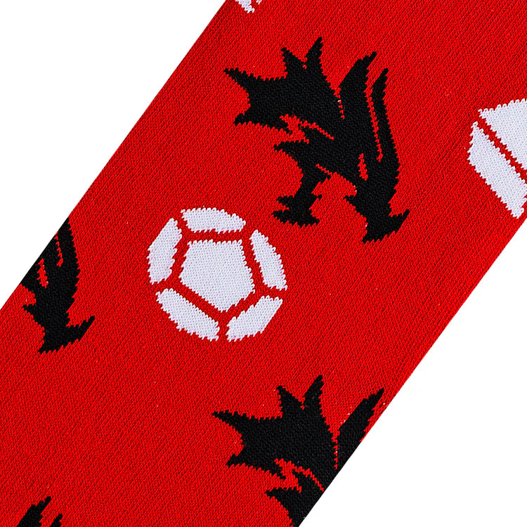 DUNGEONS & DRAGONS SPLIT CREW SOCKS