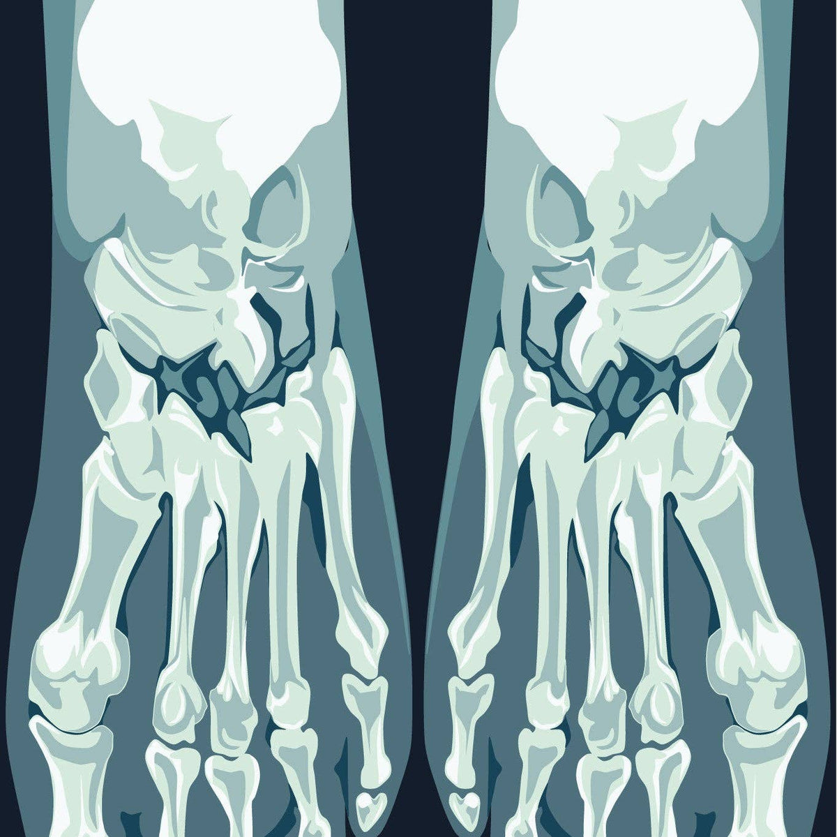 Skeletoes X-ray Crew Socks | Halloween Skeleton