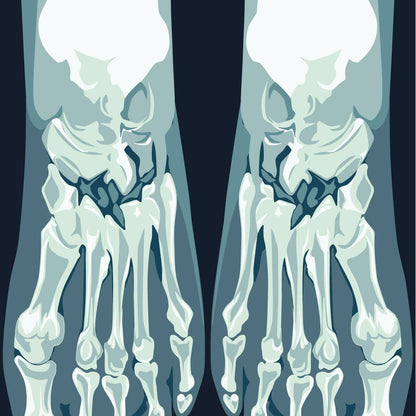 Skeletoes X-ray Crew Socks | Halloween Skeleton