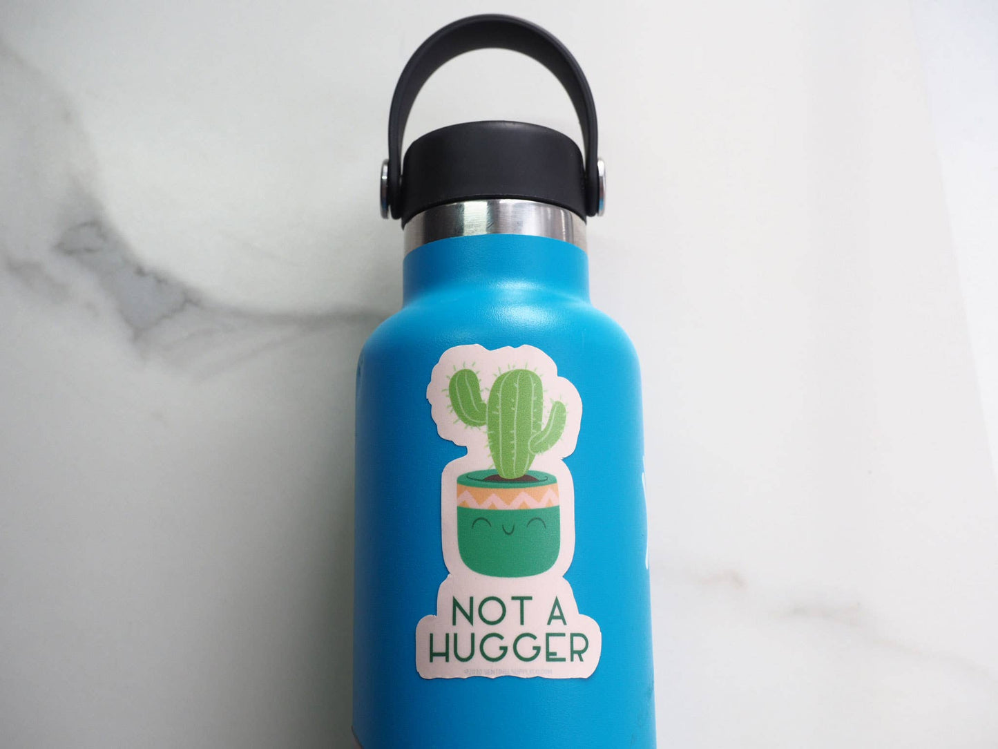 Not a Hugger Cute Cactus Sticker, Funny House Plant Decals