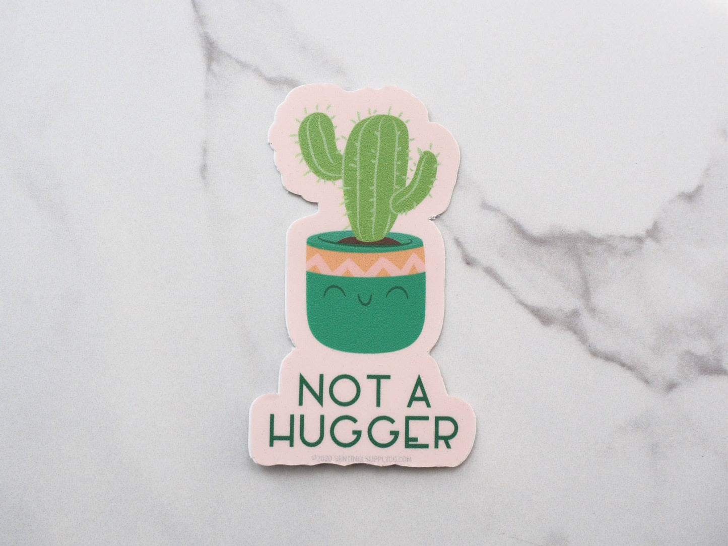 Not a Hugger Cute Cactus Sticker, Funny House Plant Decals